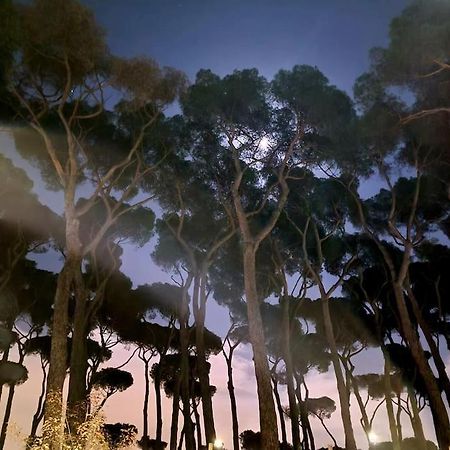 La Casa Della Pineta Villa Roma Dış mekan fotoğraf