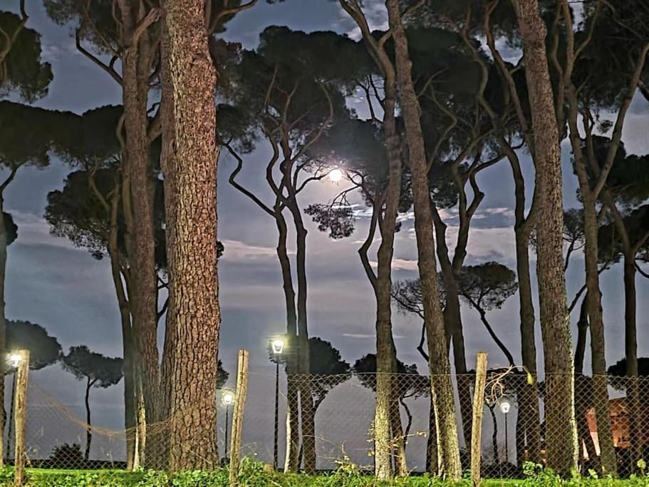 La Casa Della Pineta Villa Roma Dış mekan fotoğraf